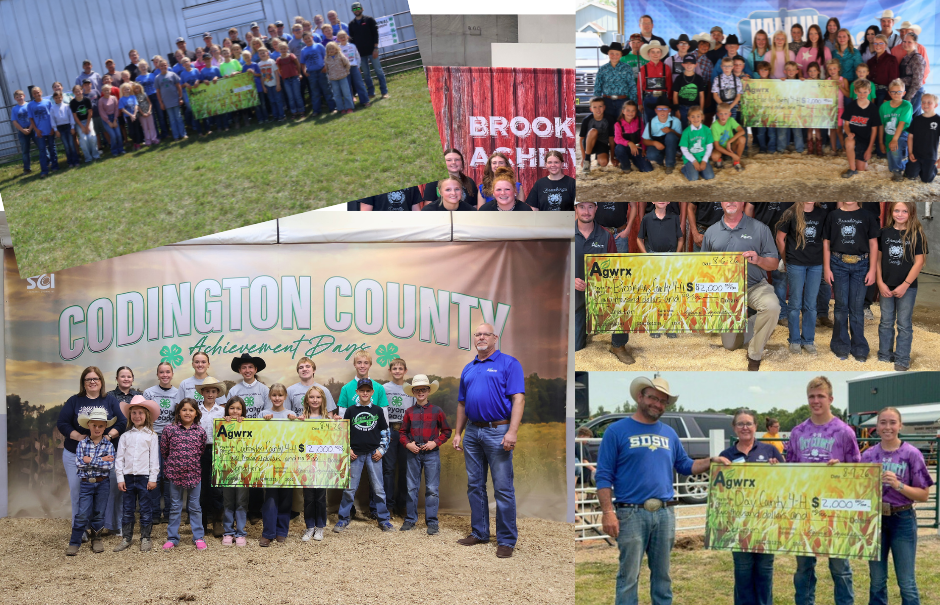 Collage of kids and adults posing with Agwrx checks at Codington County Achievement Days, indoors and outdoors.