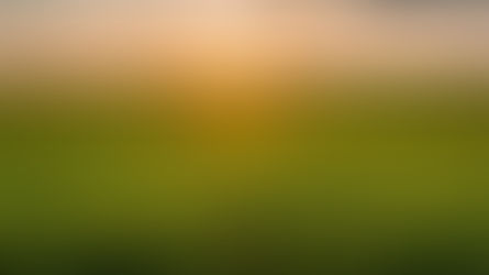 Sunset over a vast green field with a vibrant sky of orange and blue hues, creating a peaceful and serene atmosphere.