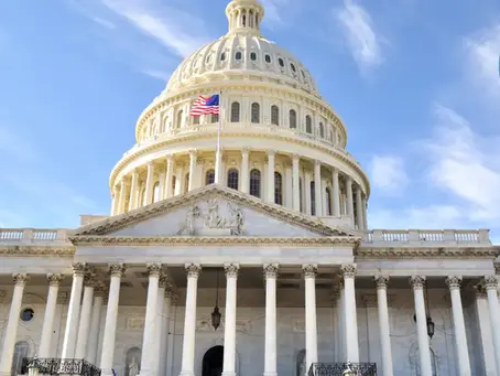 US Capitol with flag waving under a clear blue sky. Northeast Radio SD logo in the corner. Classical architecture, grand and serene.