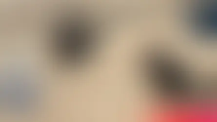 Fluffy dogs running on a dirt path. Hamlin County Sheriff's badge on the left, Northeast Radio SD logo and "Special Report" text on the right.