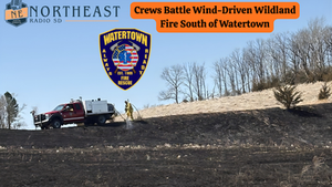 Fire crew battles wildland fire in burnt field. Red fire truck and firefighter in yellow. "Crews Battle Wind-Driven Fire" text. Trees line horizon.