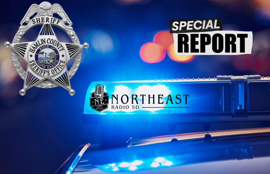 Sheriff badge and SPECIAL REPORT text over a flashing police lightbar with Northeast Radio SD logo on a blurred blue-red backdrop.