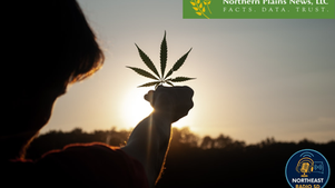 Silhouette of a person holding a cannabis leaf against a sunset. Logos for Northern Plains News, LLC and Northeast Radio SD are visible.