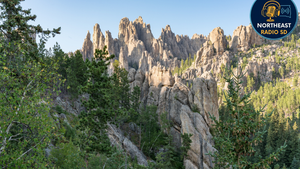 Rocky peaks rise amid lush green pine trees under a clear blue sky. "Northeast Radio SD" logo in the top right corner.