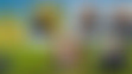 Five people in FFA uniforms, smiling, overlaid on a farm field backdrop. FFA logo and "Northeast Radio SD" text are visible.