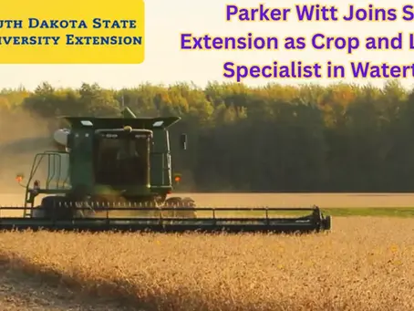A combine harvester works in a field under a blue sky. Text reads: Parker Witt joins SDSU Extension as Crop and Livestock Specialist in Watertown.