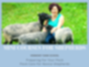 Mini Courses for shepherds (2).png