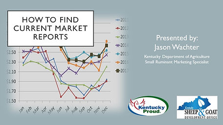 How to find current market reports