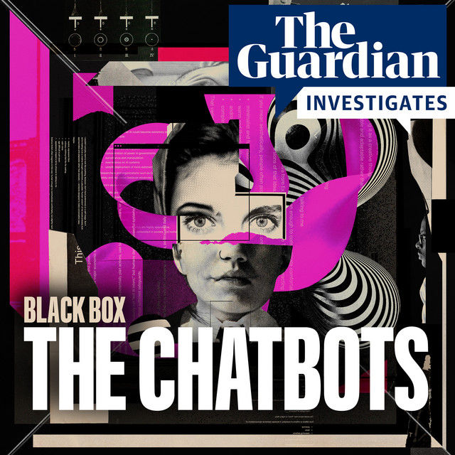 Blackbox: The Chatbots