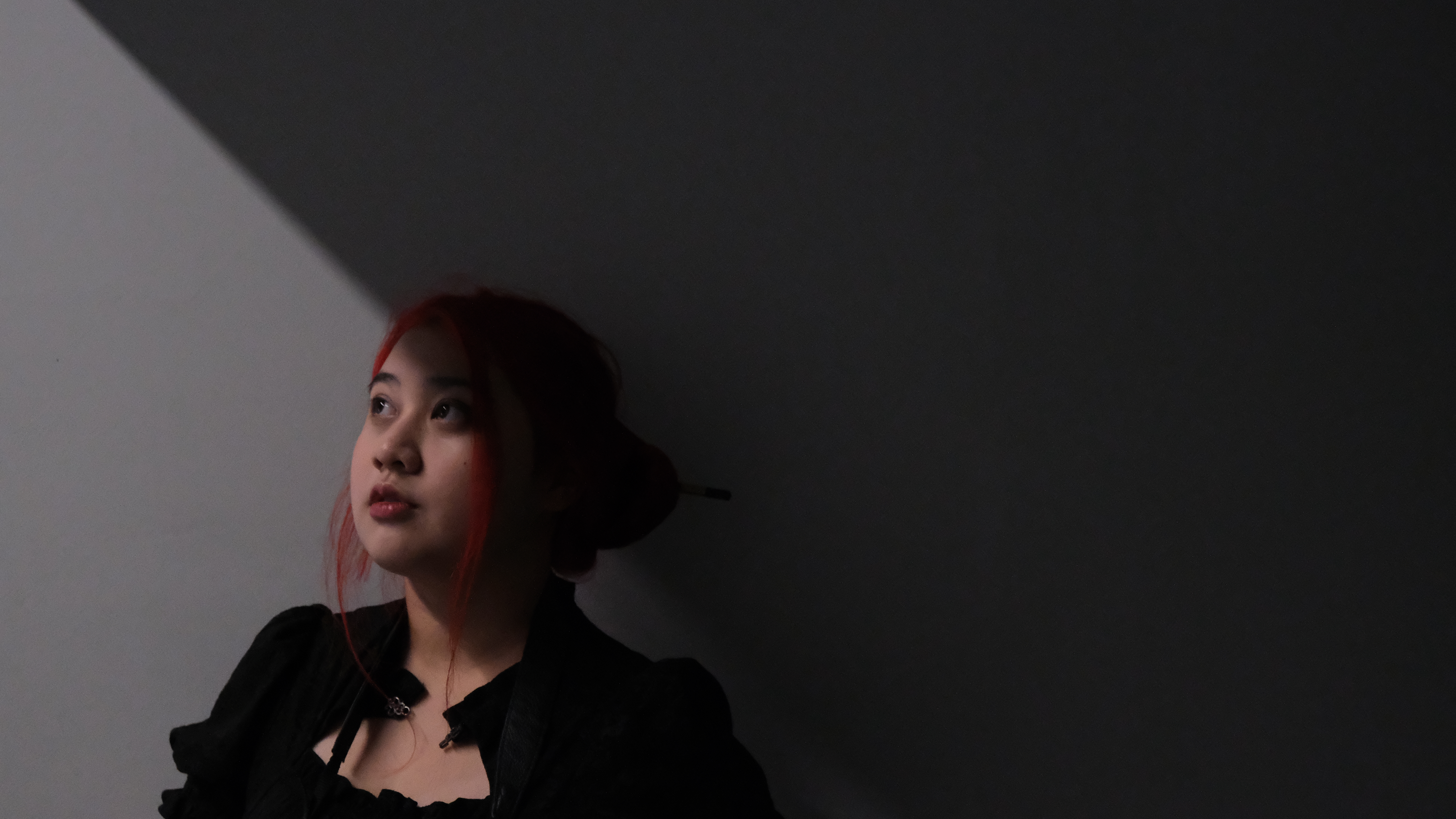 Landscape Portrait - Hard lighting is used to create high contrast and leading line in the picture combining with leaving black space on purpose