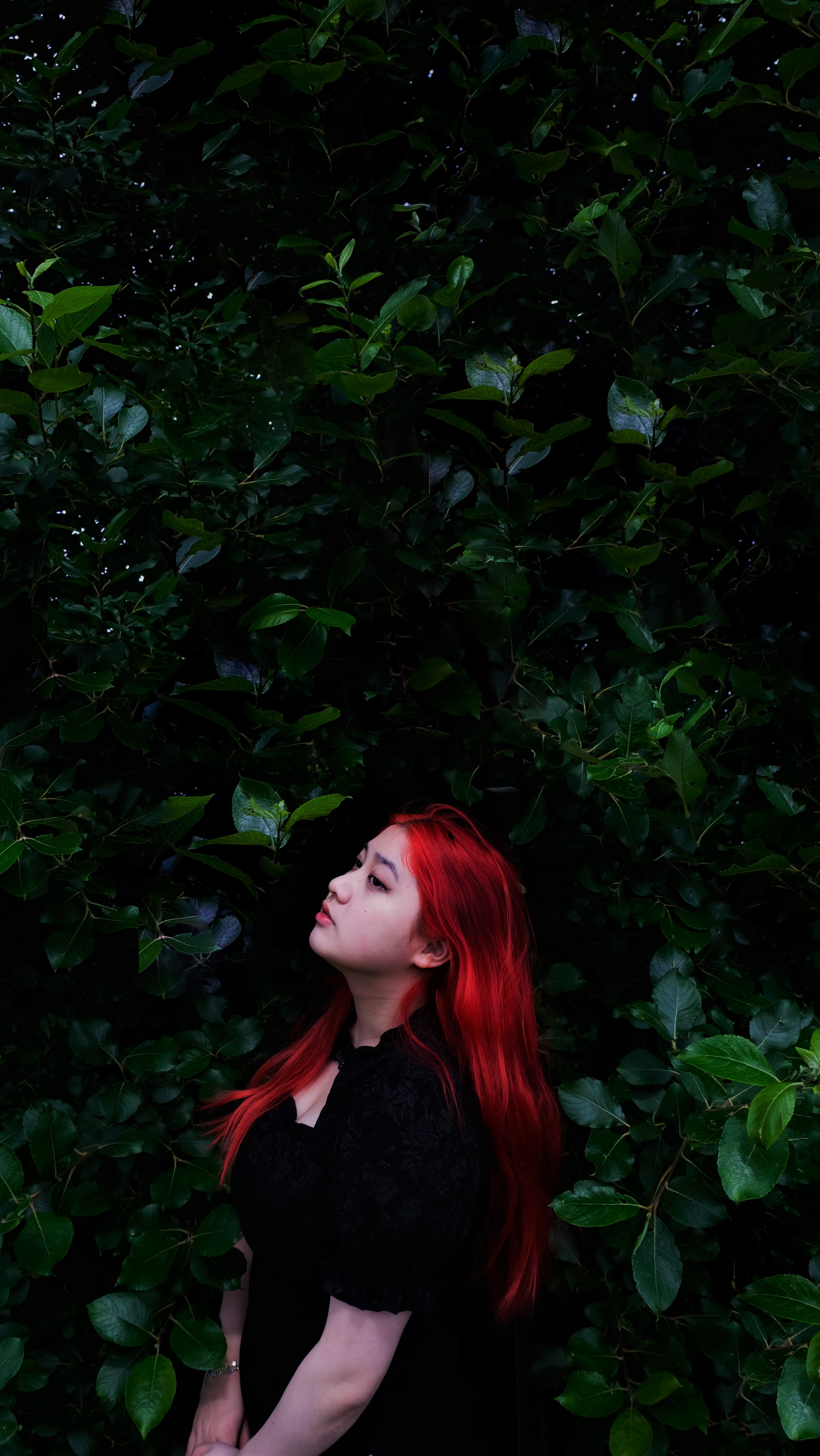 Portrait
Model: Zhou Xinqi
Meaning: The picture that means purity still exists in the dark