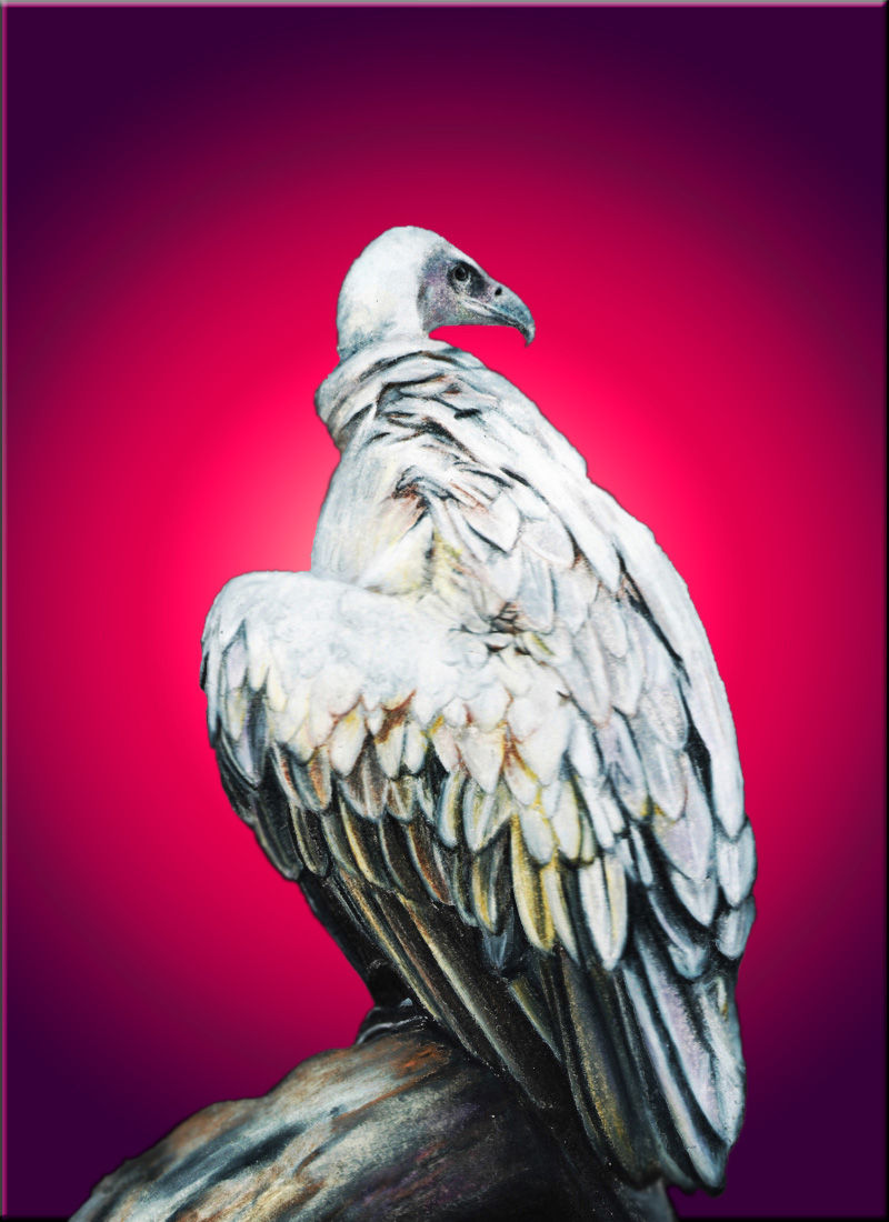 Thumbnail: Silver Heart Vulture Necklace