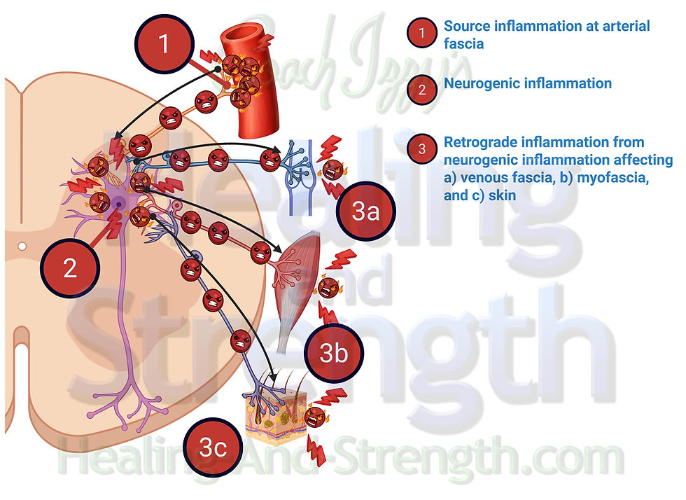 Neurogenic and Retrograde inflammation