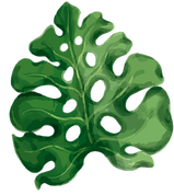 —Pngtree—tropical leaf watercolor set vector_5388082_edited.png