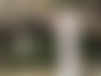 起來北投洗溫泉