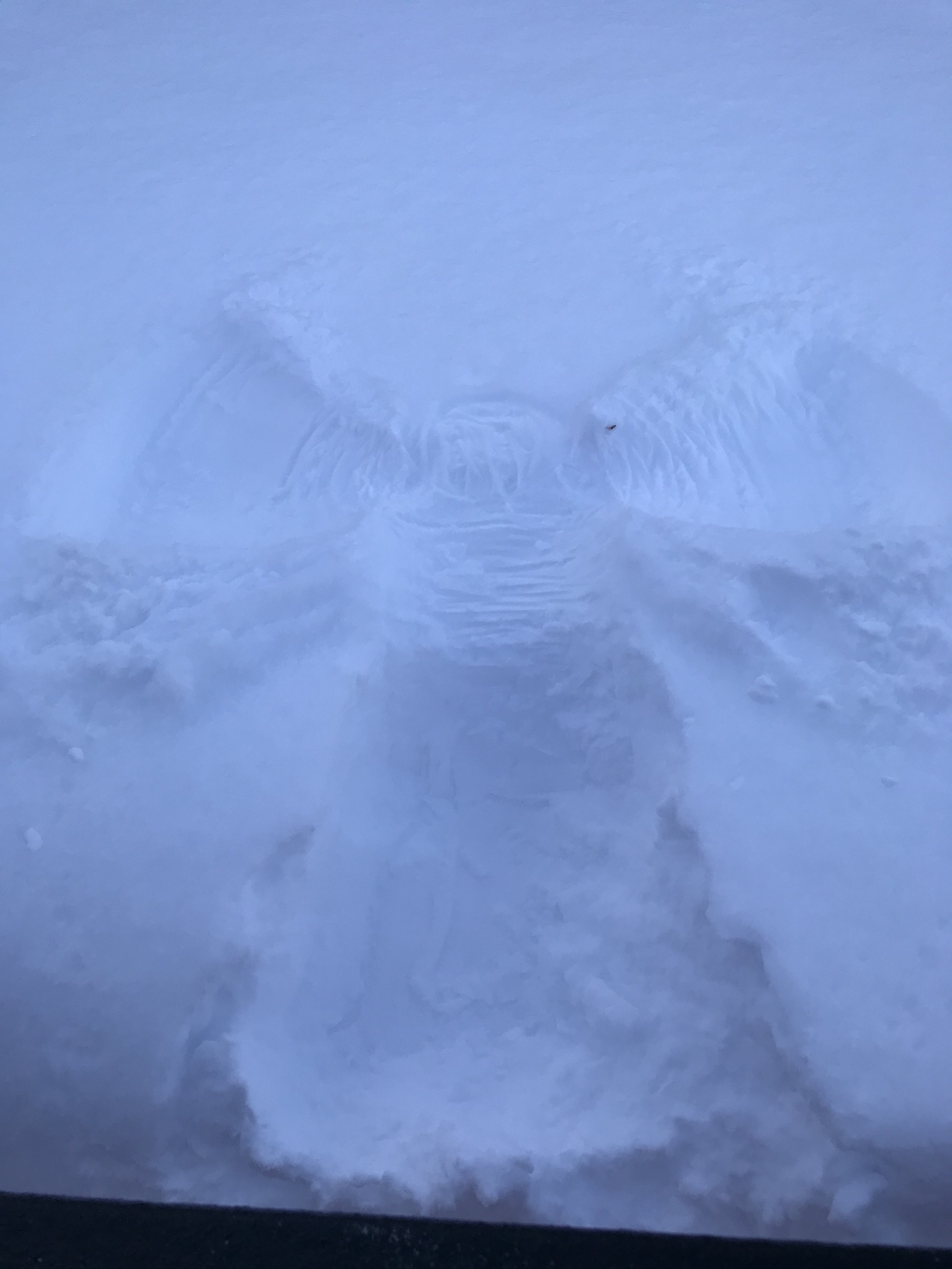 Snow Angel