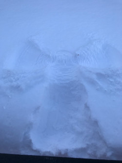 Snow Angel