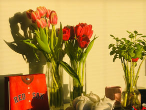 機上閱讀的領悟|從「計畫經濟」到面對「存量市場」的框架式理解