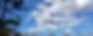 cww-bluskyclouds.jpg