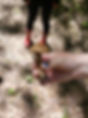 sarasvatocreativespace-foresttherapywalk-mushroom.jpg