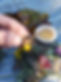 creativitysummercamp-forestwalk.jpg