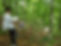 cww-groupretreat-forest.jpg