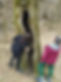 sarasvatiresidency-jess-forest-therapy.jpg