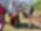 smokey-womensretreat.jpg