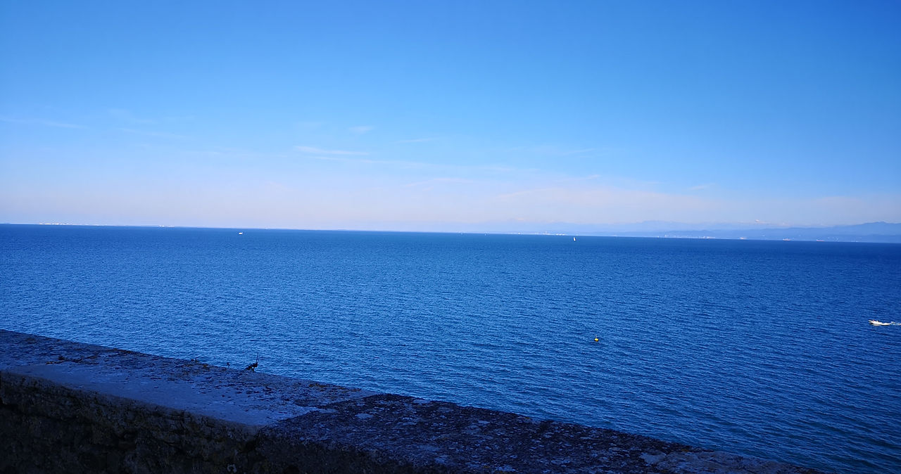 IMG_20211017_101426.jpg
