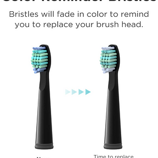 Brosse à Dents 4.PNG