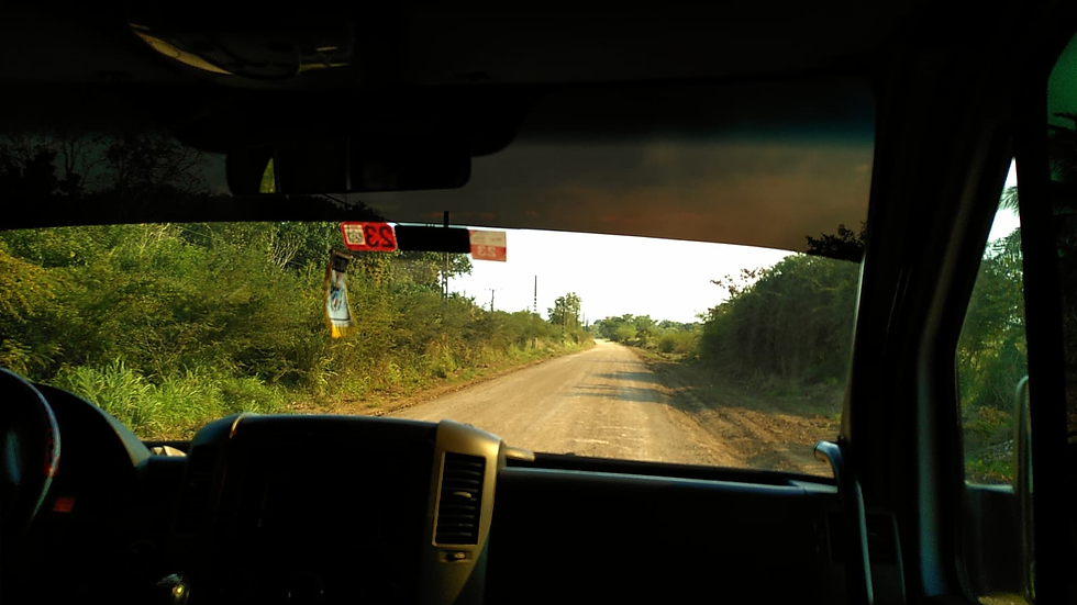 Kubanische Flora und Fauna, Besuch bei einer episkopalen Gemeinde und Aufbruch nach Varadero