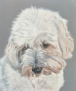 Pet Portrait Ireland