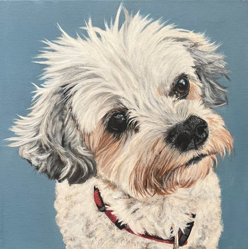 Pet Portrait Ireland