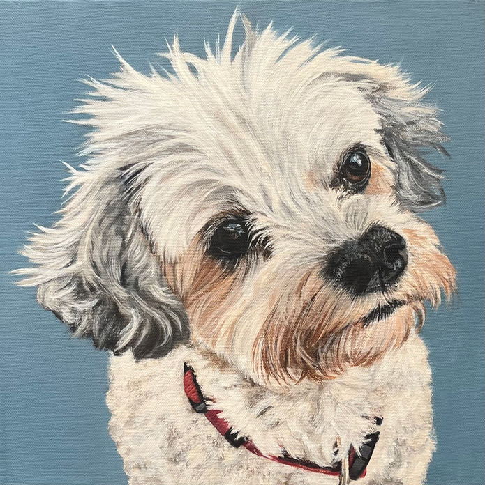 Pet Portrait Ireland