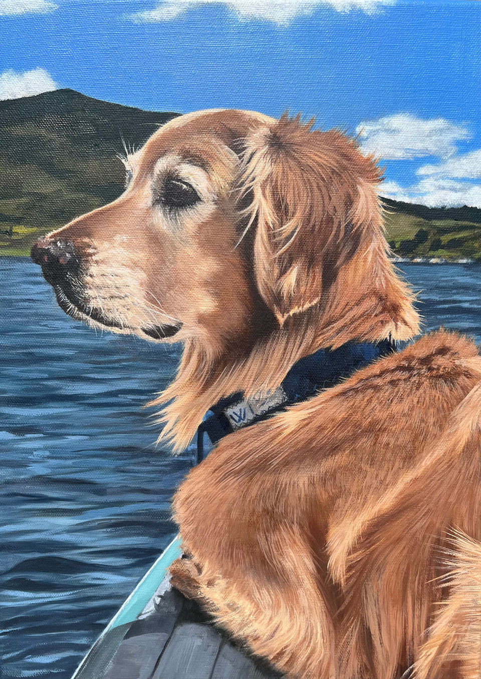 Pet Portrait Ireland