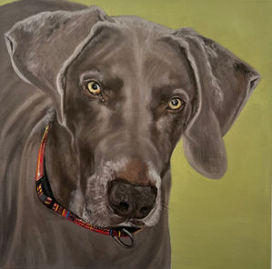 Pet Portrait Ireland