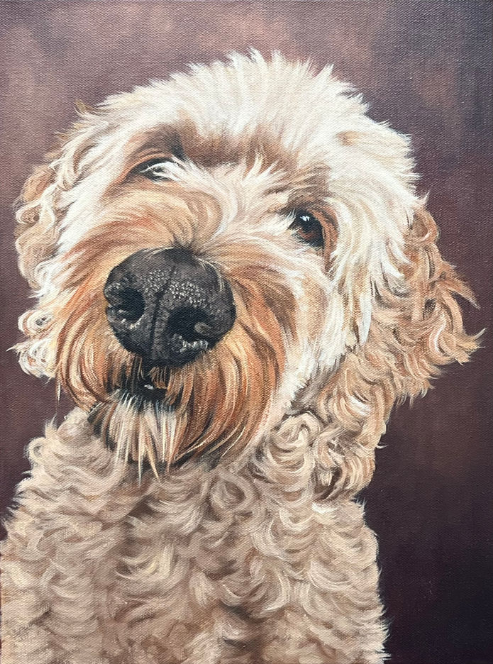 Pet Portrait Ireland