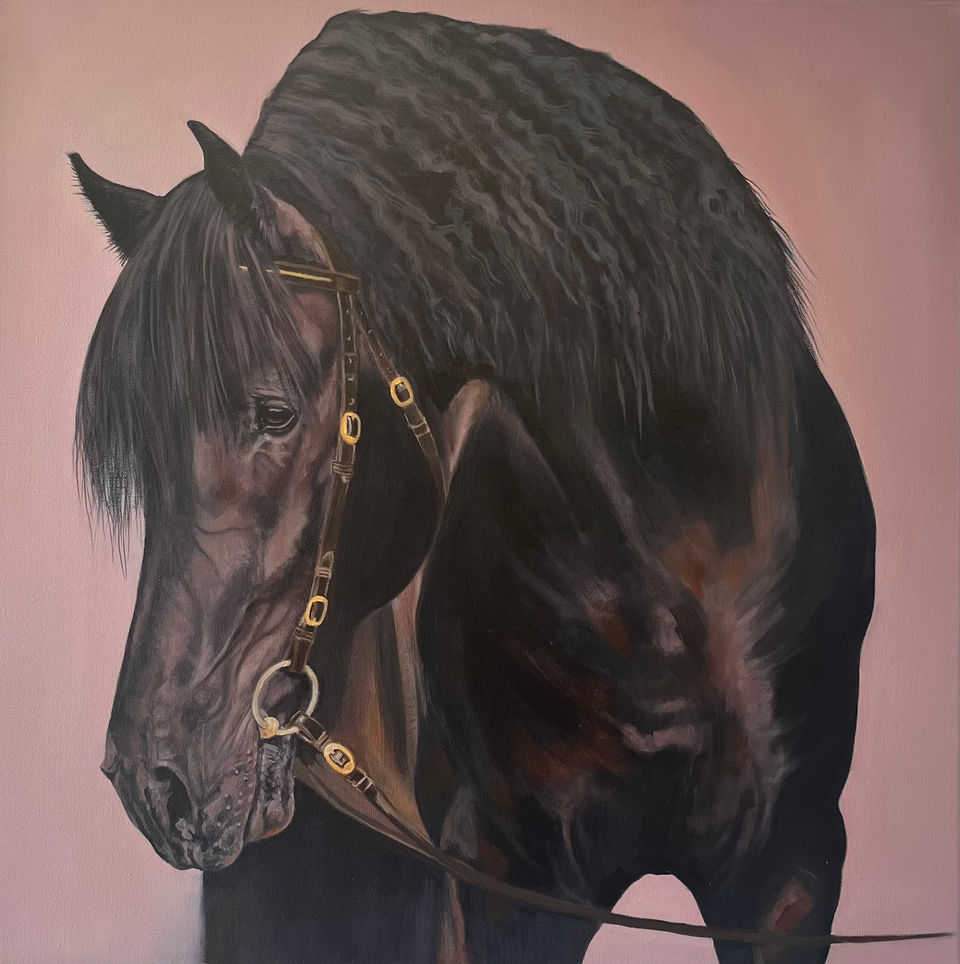 Equine Portrait Ireland