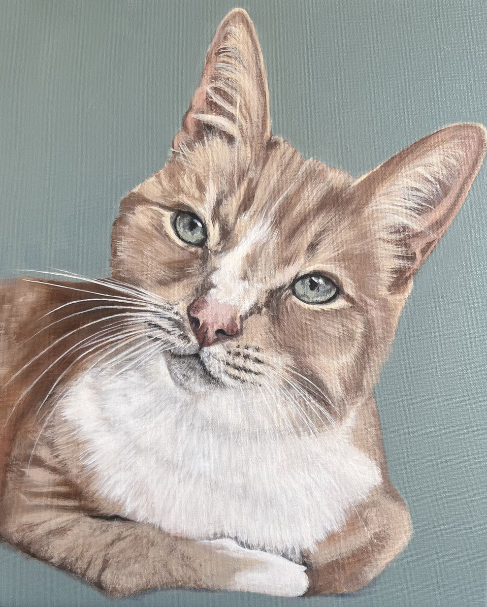 Pet Portrait Ireland