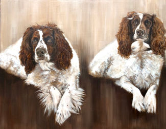 Pet Portrait Ireland