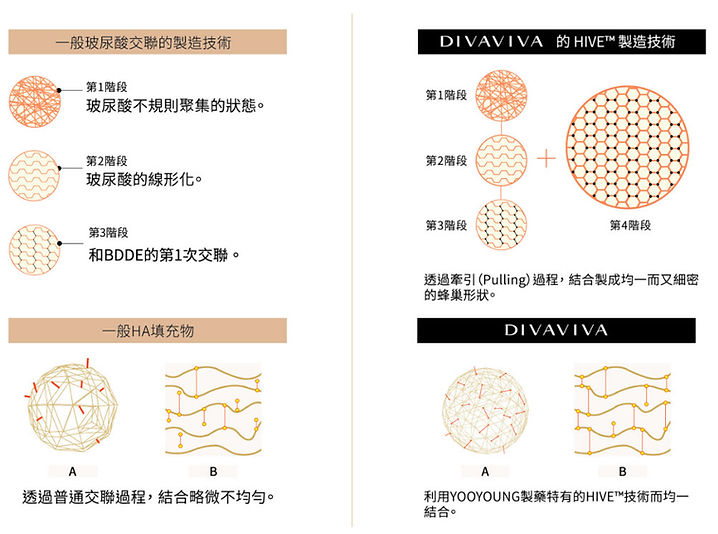 女王玻尿酸DIVAVIVA專利技術-成美麗人診所