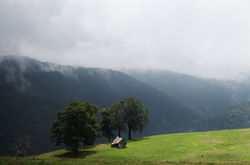 Păltiniș (Roumanie) - 2018