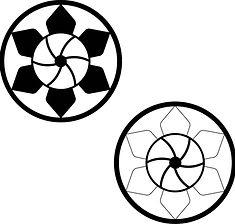 Individial moire disc designs