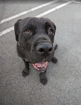 Screenshot 2025-10-13 10.45.01 PM.png