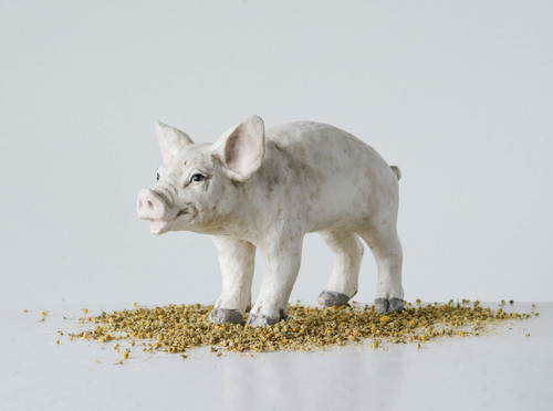 Cream Resin Pig Figurine | Mysite