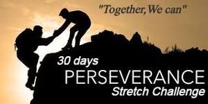 "Perseverance is the key to achievement."