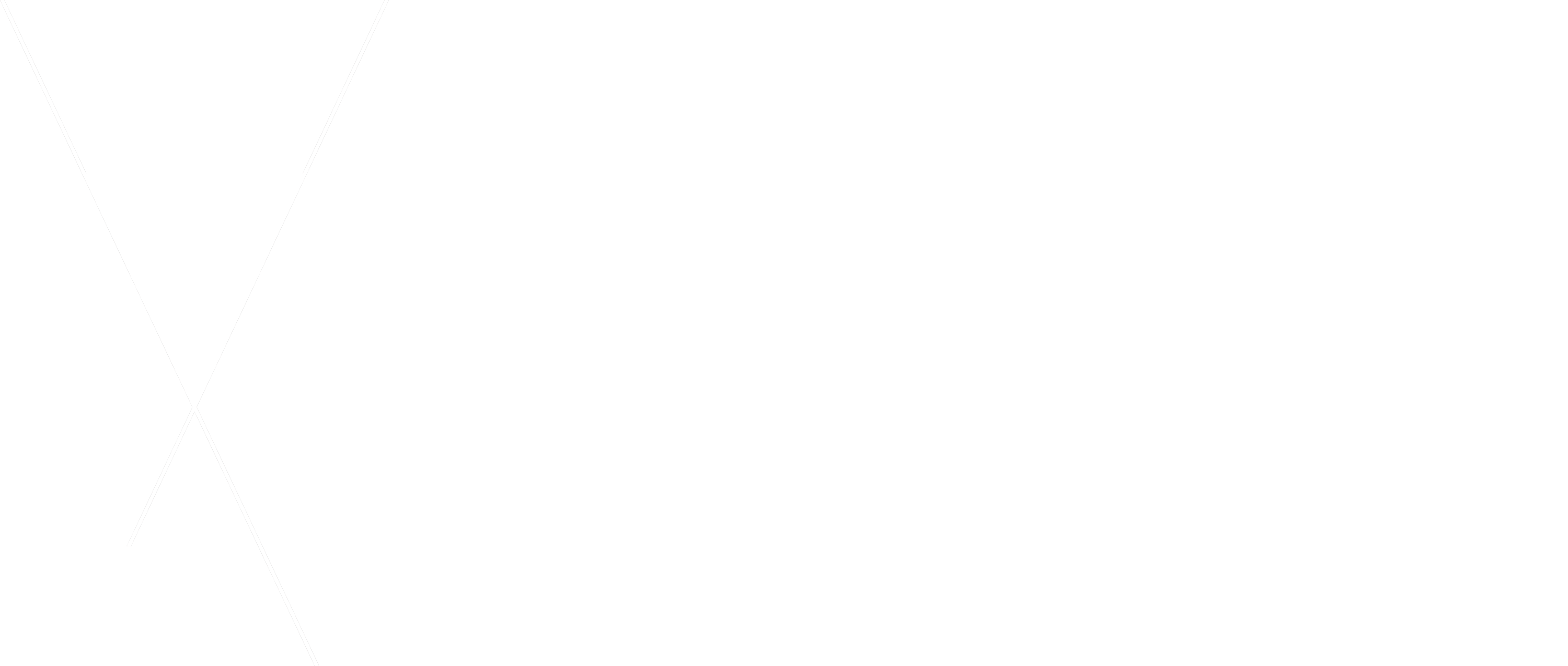 VVS-AVVISIO_edited.png