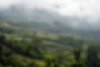 RutaAves0163.jpg