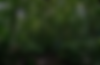 Captura de pantalla 2025-04-09 a la(s) 1.01.15 p. m..png