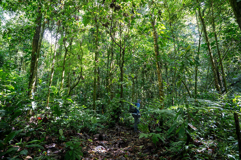 RutaAves0121.jpg